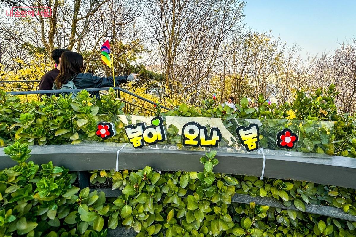 응봉산 포토존으로, &lsquo;봄이 오나 봄&rsquo; 문구가 시선을 끈다. 방문객들이 머물며 사진을 남기는 장소로, 개나리와 함께 계절감을 직관적으로 표현할 수 있게 꾸며져 있다