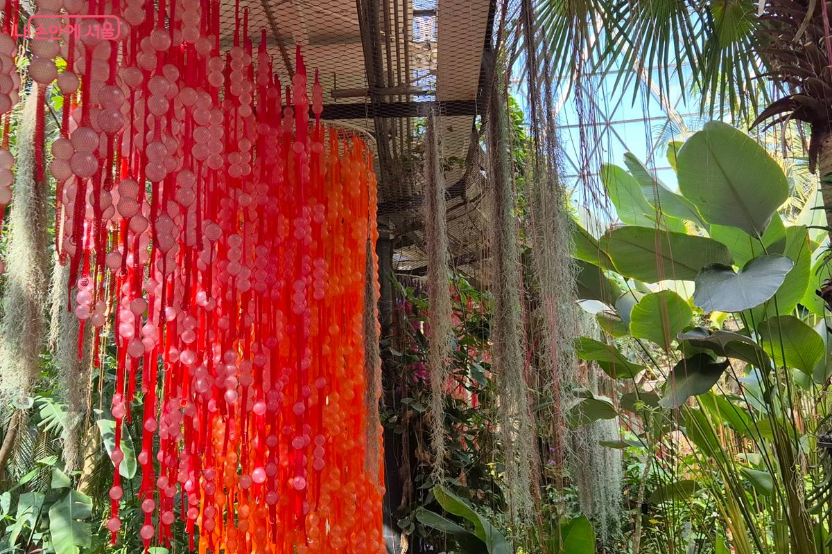 온실에는 최성임 작가의 다른 작품도 전시되어 있다. 덩쿨식물과 함께 조화를 이루고 있다. ⓒ마가은