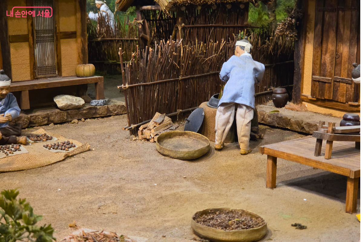 옛날 약초꾼들의 생활을 재현한 미니어처 모형이다. 초가집 앞마당에서 한복을 입은 인물들이 멍석 위에 약초를 펼쳐 말리거나, 가마솥에 불을 지피며 작업하는 모습이 상세히 묘사되어 있다. 마당 주변에는 나무 울타리가 둘러져 있고, 소박한 시골집의 풍경이 담겨 있다.