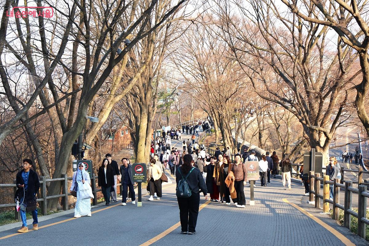 봄기운을 느끼며 남산 산책로를 걷는 국내외 나들이객 인파로 붐빈다. &copy;이봉덕