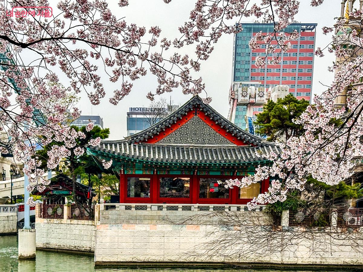 잠실 석촌호수 벚꽃축제 풍경. 사진은 지난해 모습 ©양지영