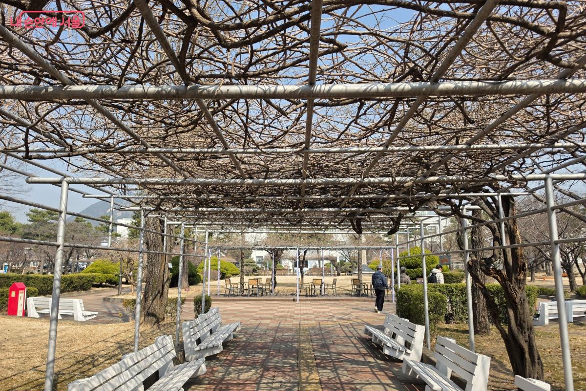 정독도서관 등나무 그늘 &copy; 박승식