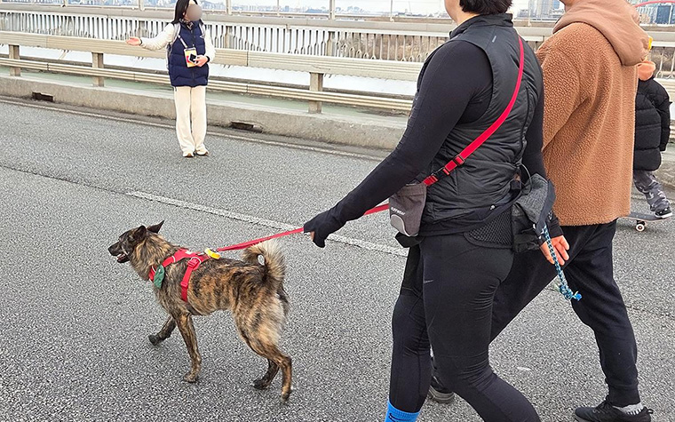 차 대신 두 발로 누비는 마포대교&hellip;&lsquo;쉬엄쉬엄 모닝&rsquo; 22&middot;29일 또 만나요