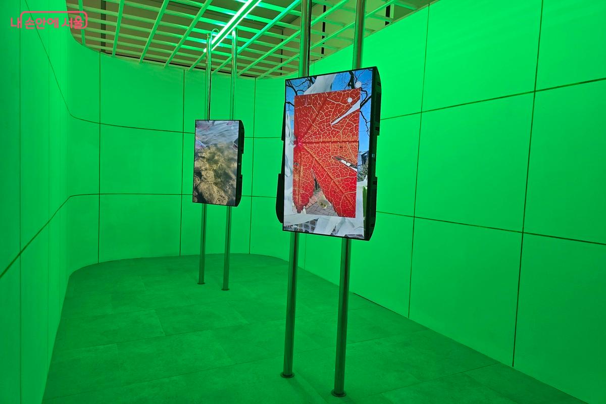  서울 최초 공공 뉴미디어 미술관인 서울시립 서서울미술관에서는 다채로운 퍼포먼스 전시를 관람할 수 있다