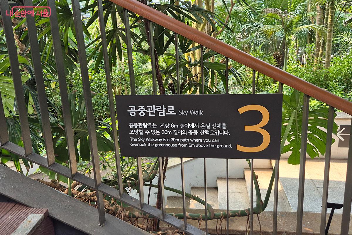 식물원을 10m 높이에서 한눈에 둘러볼 수 있는 &lsquo;공중관람로&rsquo; &copy;정향선