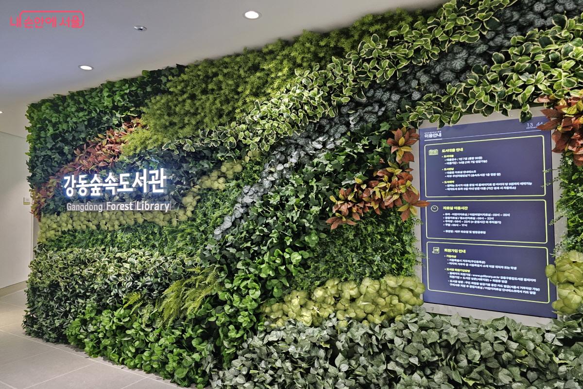 서울 구립도서관마다 다양한 문화·교양 강좌들을 운영하고 있다. ©염지연