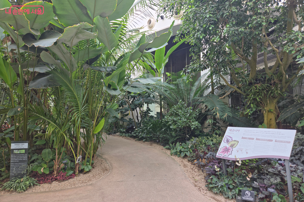 서울식물원 온실 내부 산책로 모습 © 김승아