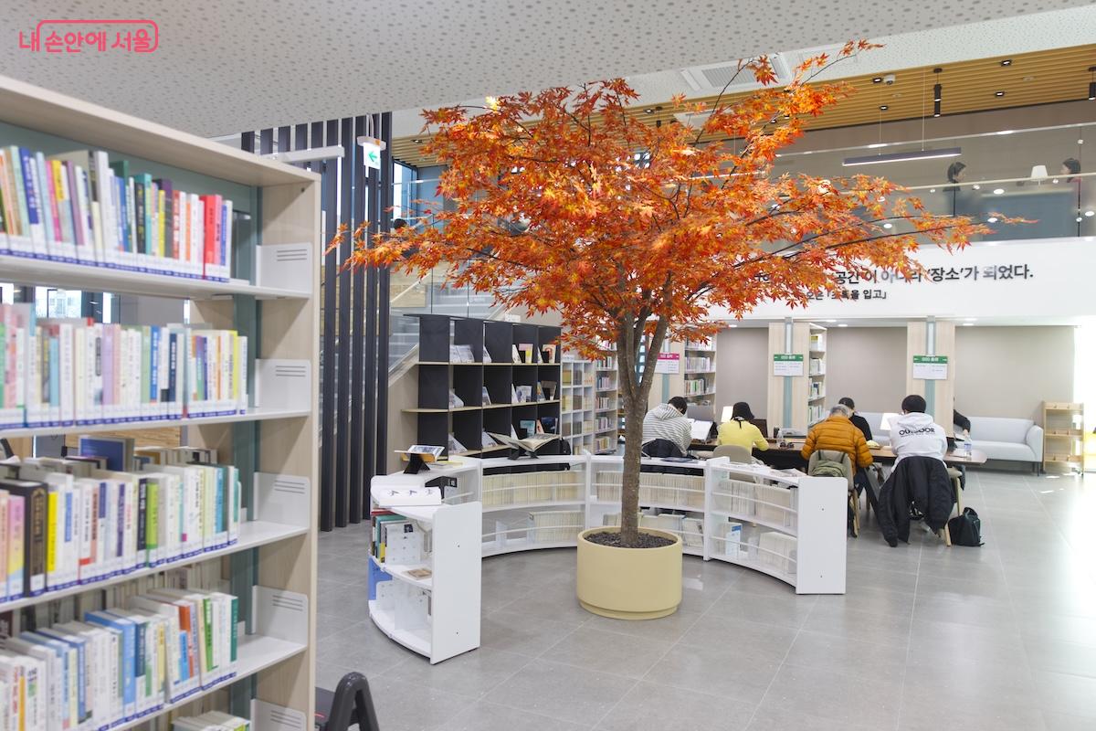 도서관 동 종합자료실에 가을 정취가 나는 모형 단풍나무가 있어 신기했다