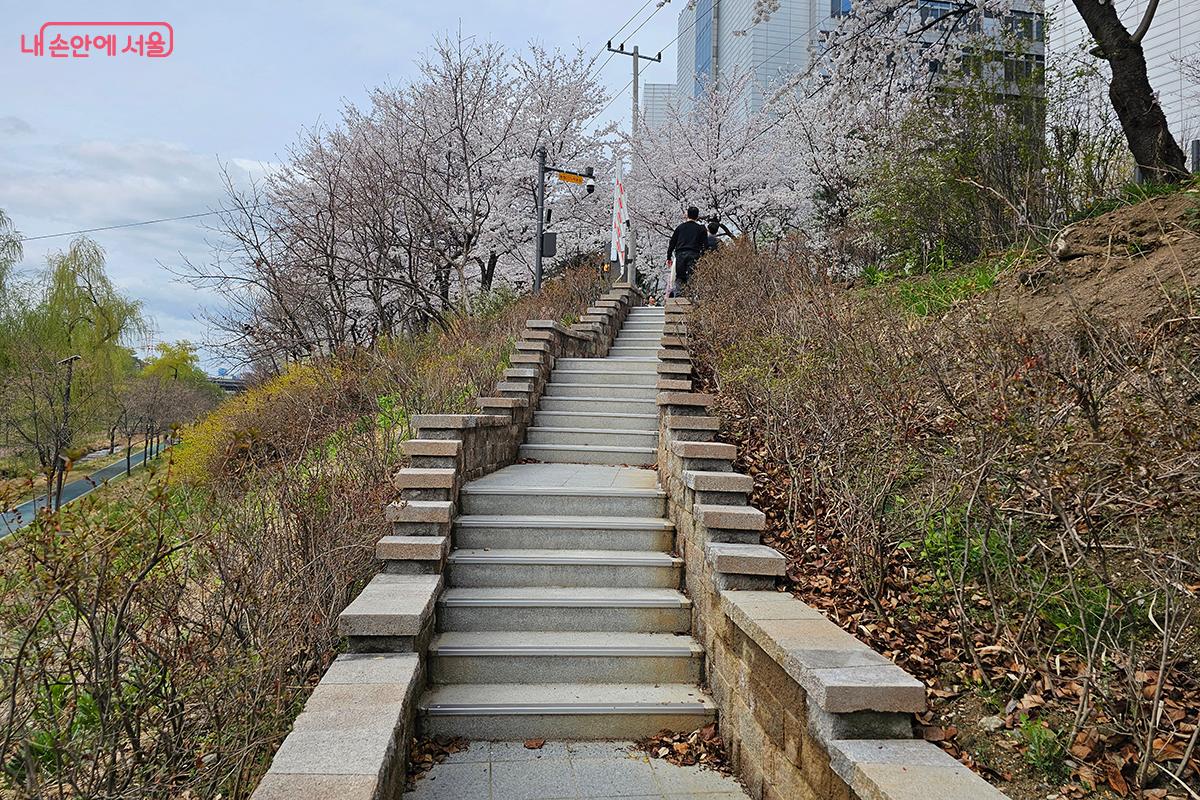 하천과 인도를 잇는 계단도 돌과 나무로 깔끔하게 정돈되어 편리하게 이용할 수 있다. ©백승훈