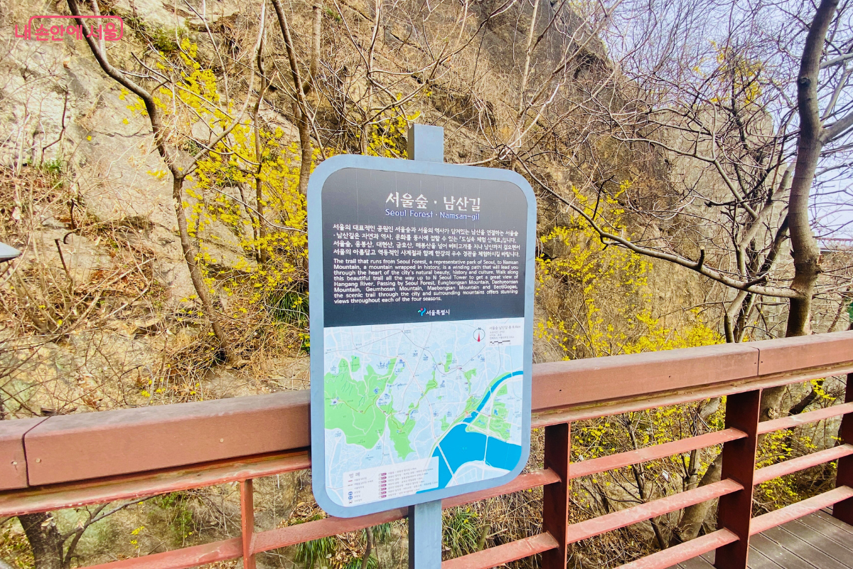 응봉산 산책로 난간에 설치된 '서울숲&middot;남산길' 안내판의 모습이다. 안내판에는 서울숲에서 응봉산, 대현산, 남산을 거쳐 서울타워까지 이어지는 산책 코스 지도와 상세 설명이 국문과 영문으로 적혀 있다. 배경으로는 응봉산의 암벽과 마른 나뭇가지, 개나리가 보인다. &copy;신창근