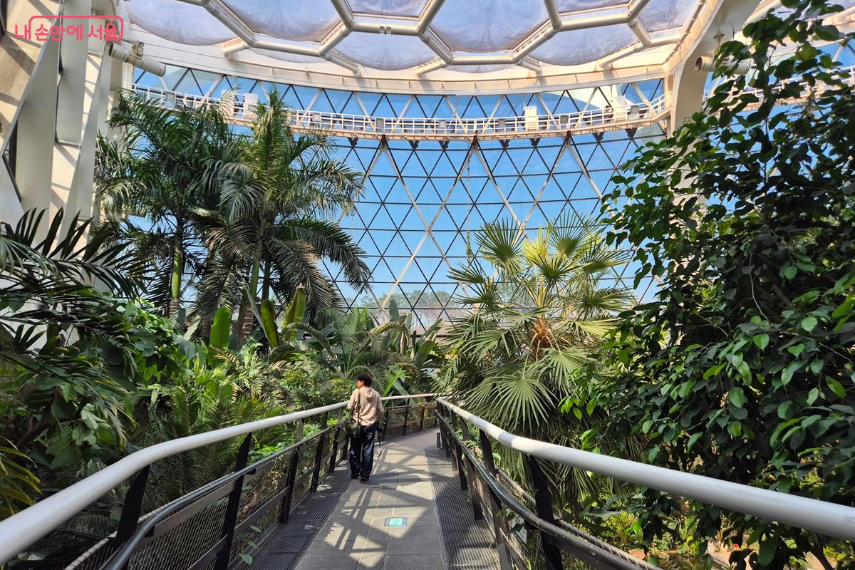 서울식물원 온실 스카이워크의 전경이다. ⓒ마가은