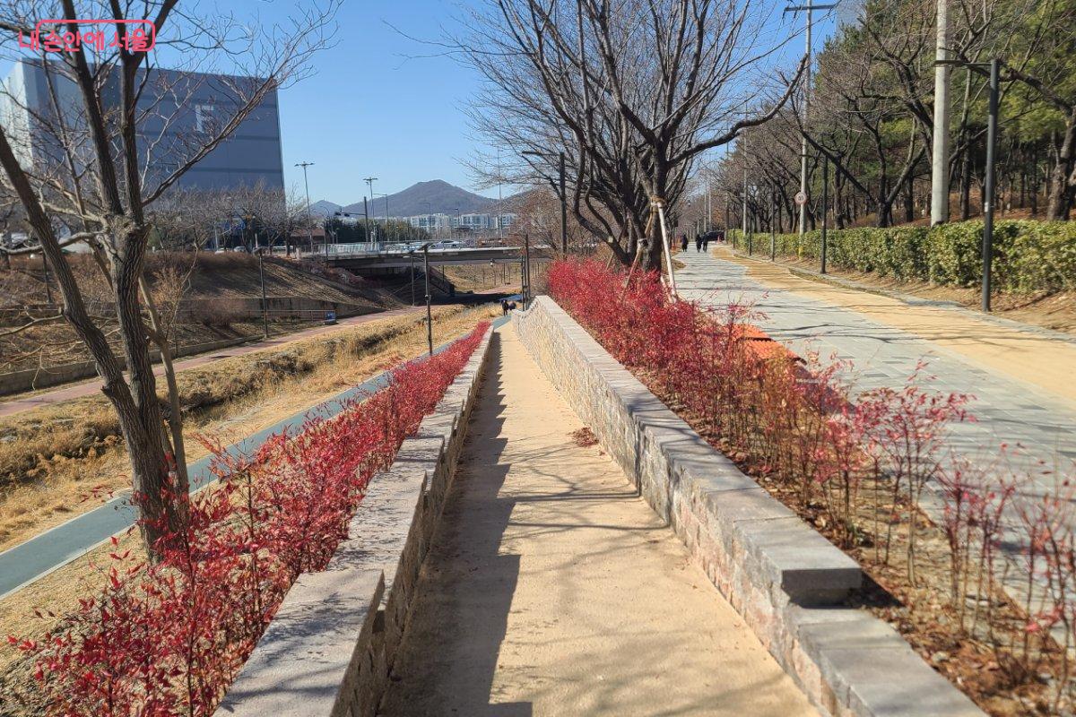 왼쪽으로 이어져 내려가는 길 &copy;김미정