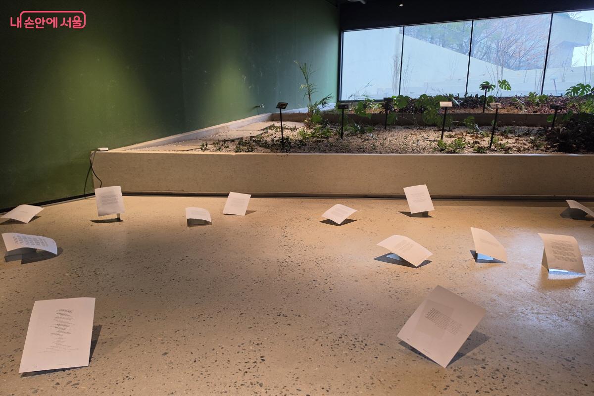 종이에 작품과 작가의 설명이 적혀있다. 이 또한 예술이다.