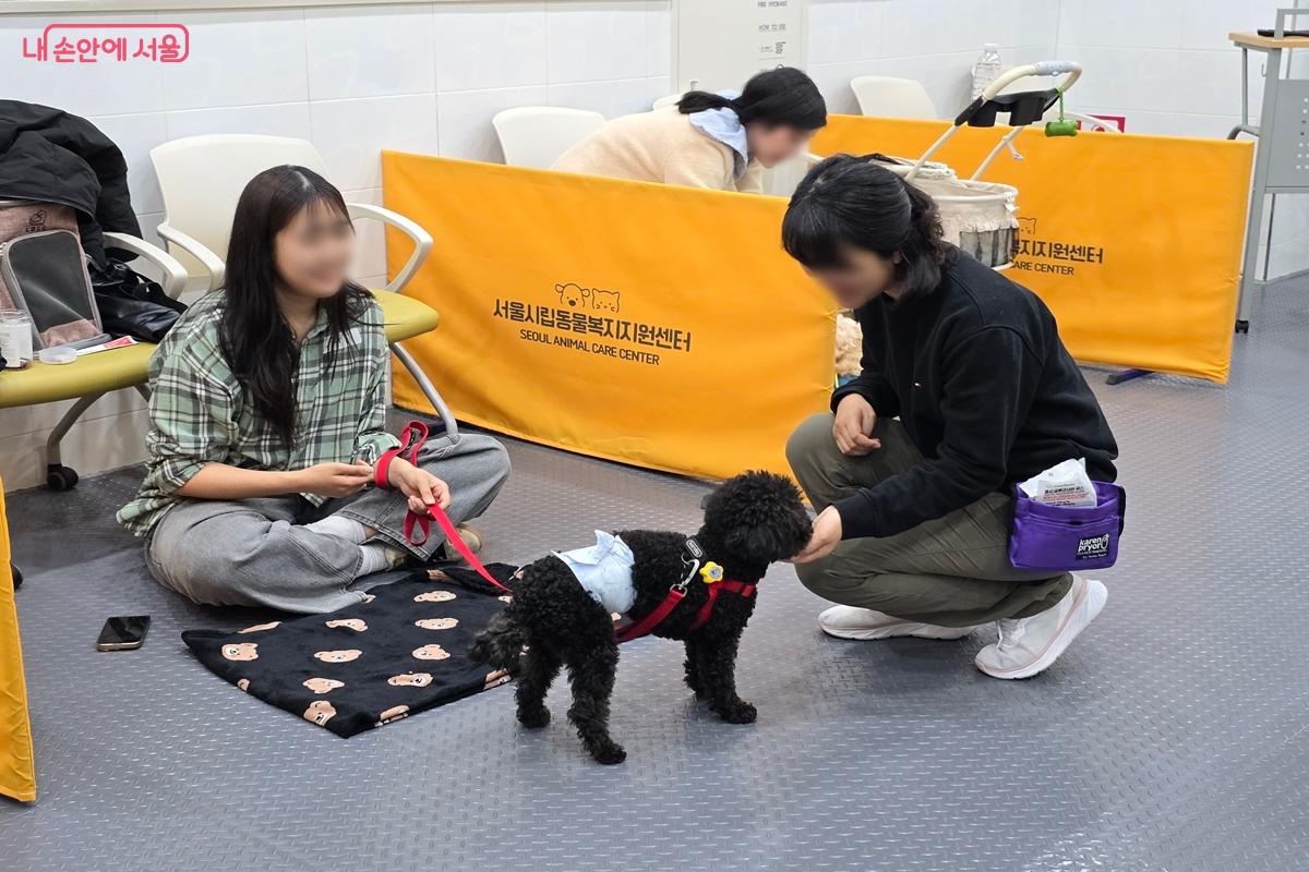 반려견들이 보내는 신호와 행동을 이해하고, 올바르게 대응할 수 있어야 한다. &copy;강사랑