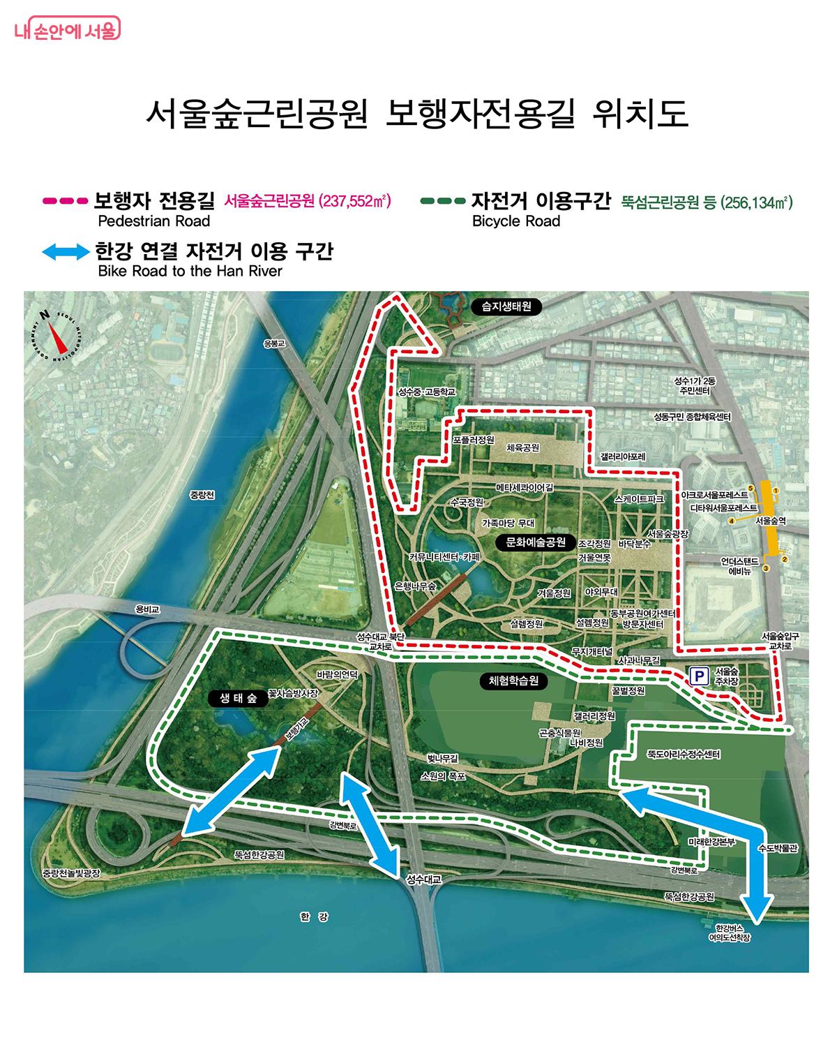 서울숲근린공원 보행자전용길 위치도. 핑크색 점선은 보행자전용길, 초록색 점선은 자전거 이용구간이다. ⓒ서울시