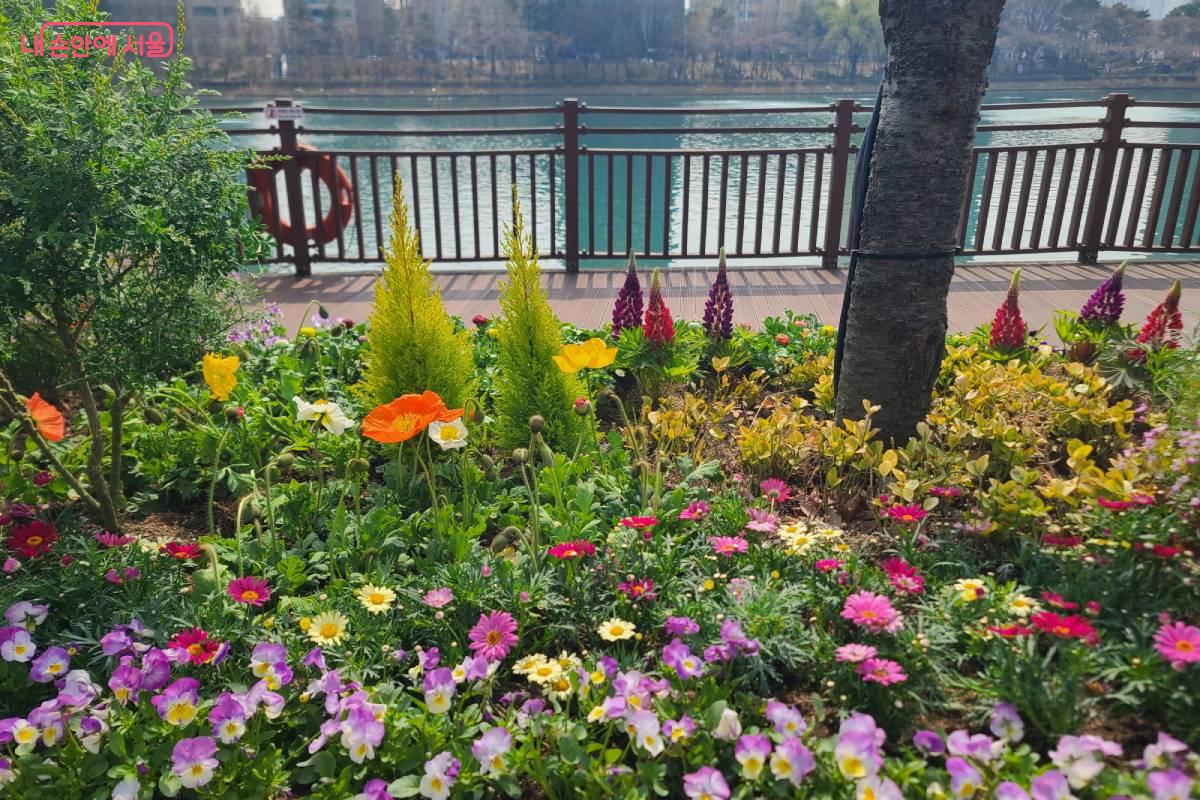 석촌호수 내 아름답게 조성된 화단 모습