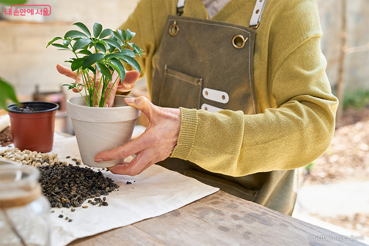 인문학 테마와 식물 실습을 결합한 &lsquo;퇴근 후 정원생활&rsquo;프로그램이 운영된다. 