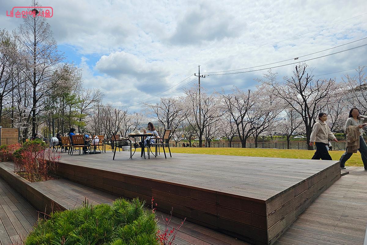 벚꽃길 옆 잔디마당 휴식 공간에서 다과와 독서를 즐기는 시민들을 만날 수 있다. ©백승훈