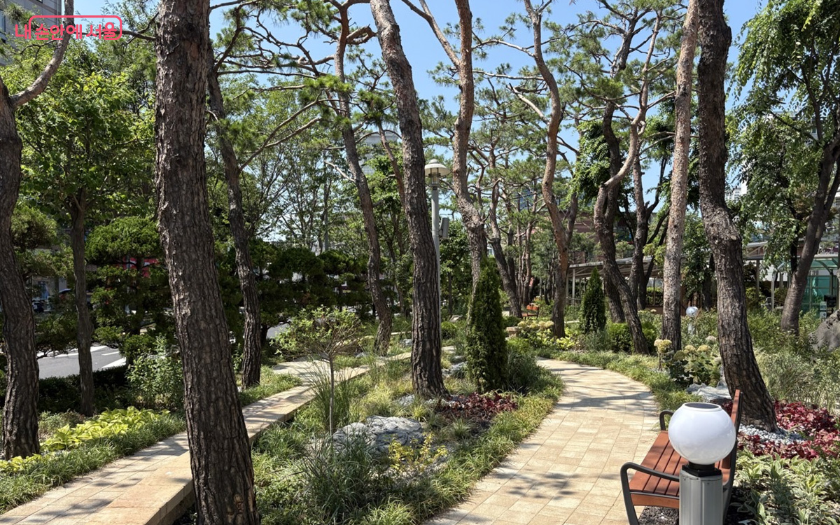 구로구 고려대학교 구로병원 무장애 동행가든 조성 후 모습 ⓒ서울시