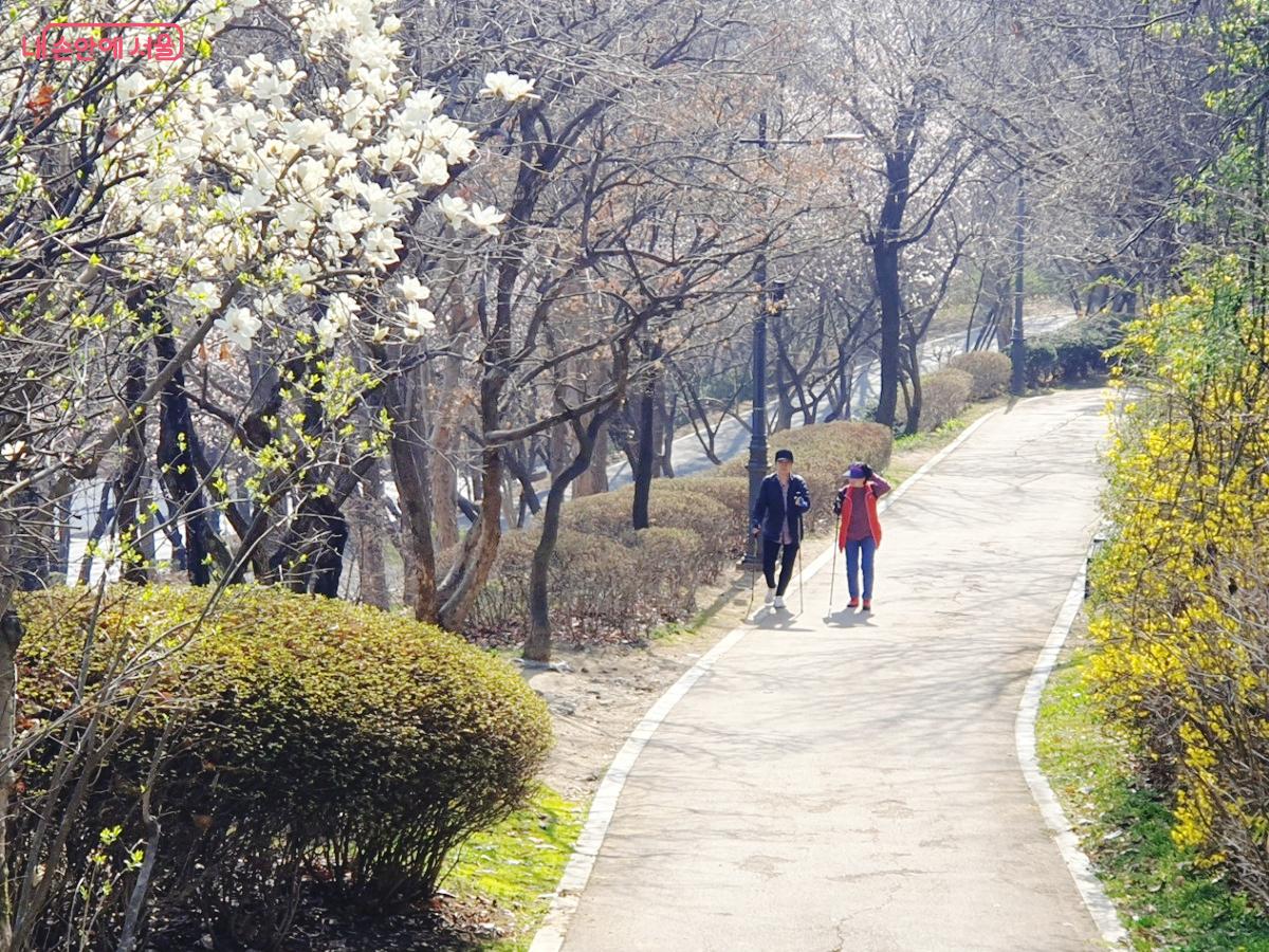 &lsquo;서울 봄 꽃길 175선&rsquo;은 장소와 성격 따라 4가지 테마의 봄 꽃길을 소개하고 있다. &copy;김병규