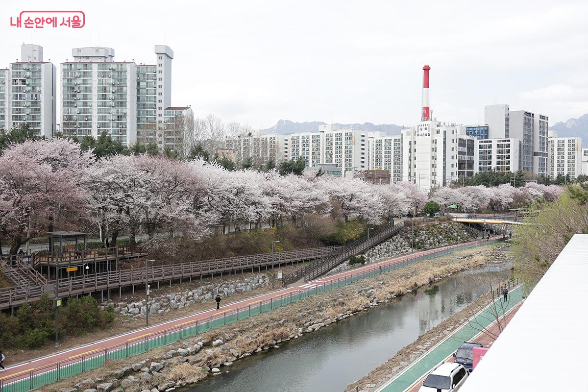 옥상전망대에서 바라본 우이천 전경 &copy;김아름
