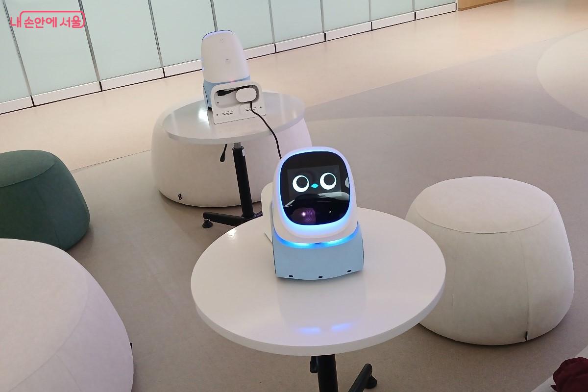 AI 정서로봇 ©임영근