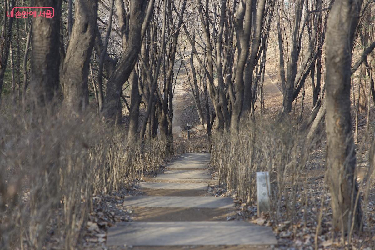 일부 산책로는 환경 개선을 통해 공원 접근성이 개선되고 있다. &copy;임중빈