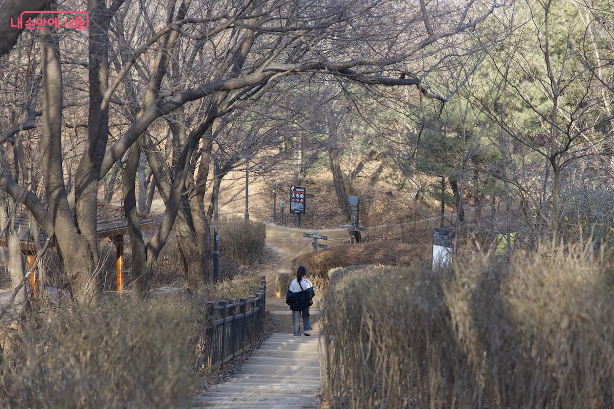 면적도 큰 편으로 양천구 관내에서 가장 큰 규모의 근린공원이라 할 수 있다. &copy;임중빈