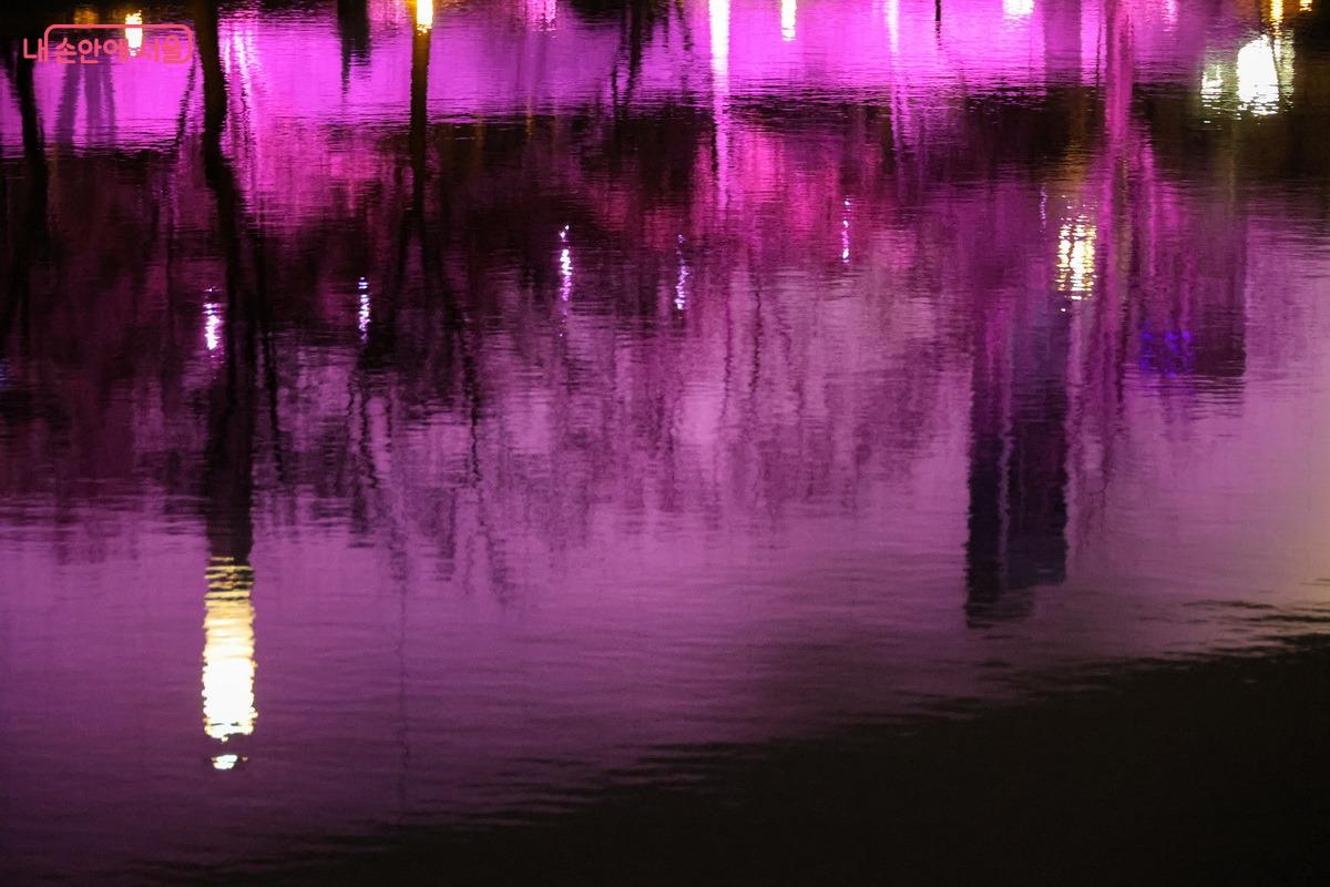 거울못에 내려앉은 불빛이 잊히지 않는 작품으로 가슴에 담겼다. &copy;박성환