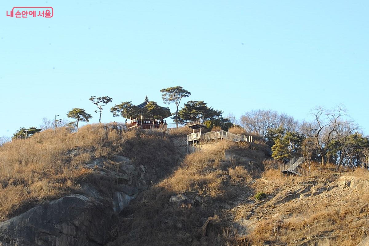 응봉산은 봄철이면 개나리가 만발하는 곳으로 유명하다. &copy;조수봉
