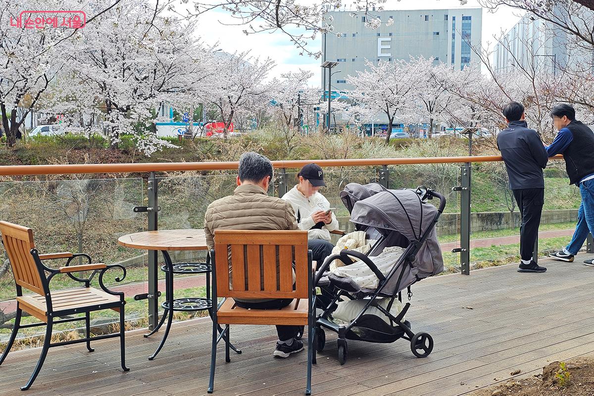 하천을 한눈에 조망할 수 있는 전망데크 주위에도 벚꽃이 만개했다. ©백승훈