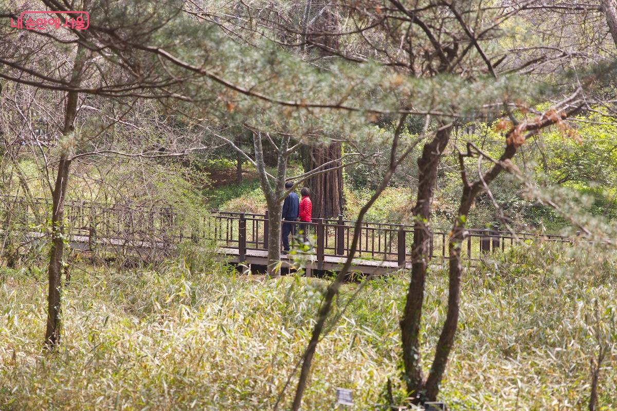 평일 확대개방으로 접근성이 훨씬 더 좋아진 홍릉숲