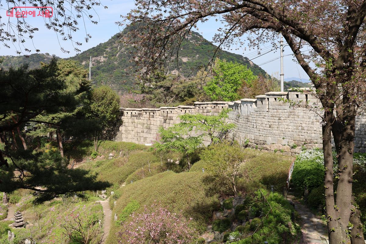 '멍때리는 터'에서 바라 본 한양도성 성곽 풍경 &copy;박우영