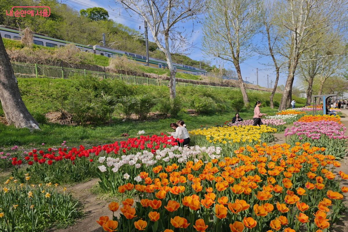  지상철로 지나가는 모습과 함께 찰나를 찍으면 이 장소의 특성이 살아난다. &copy;염지연