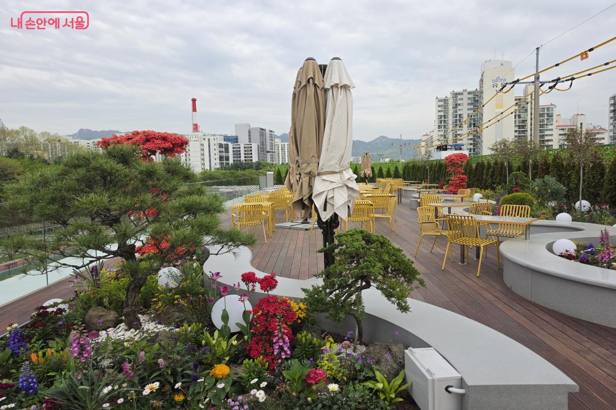 옥상에는 작은 정원이 조성돼 있다. &copy;조송연