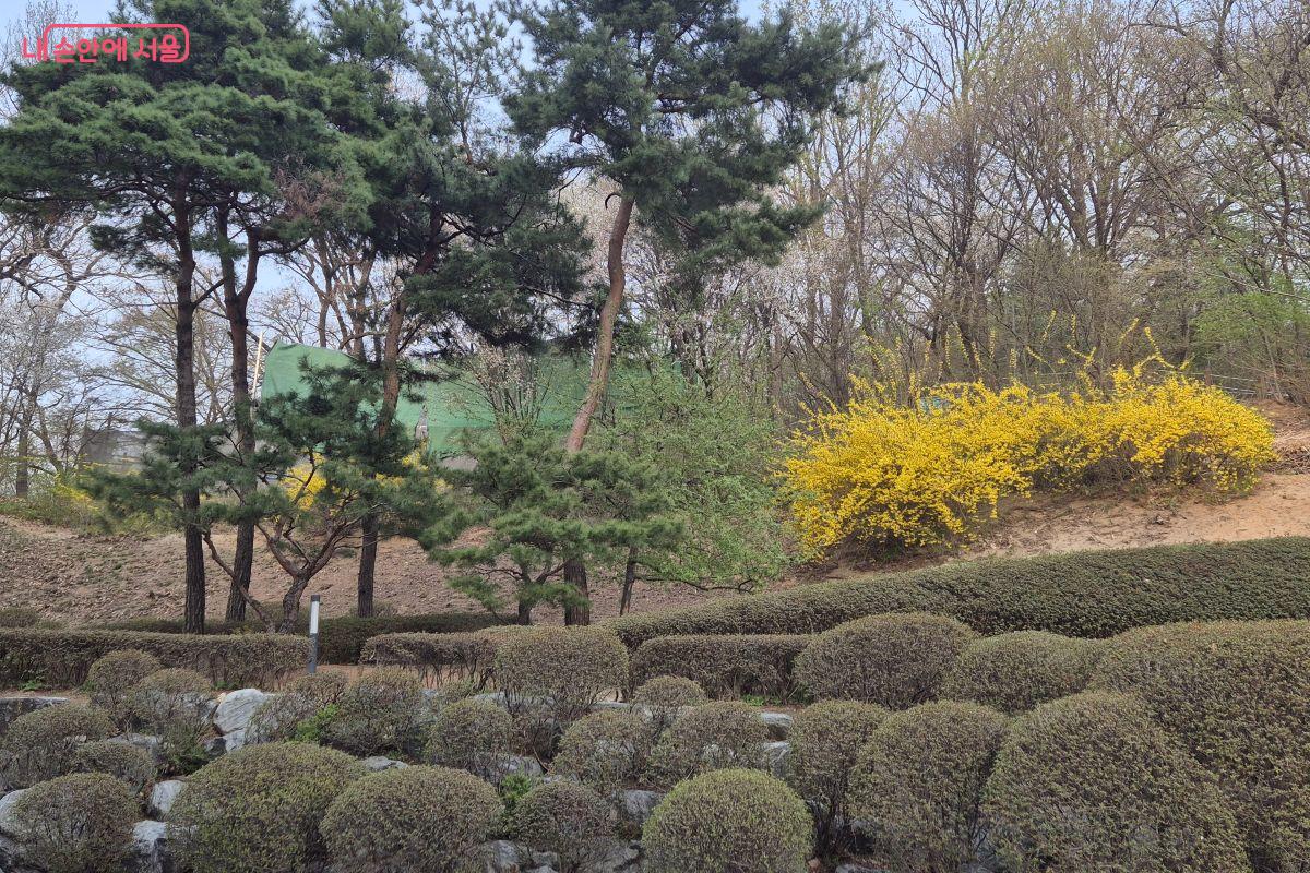 조경이 잘 되어 있는 서울시립대