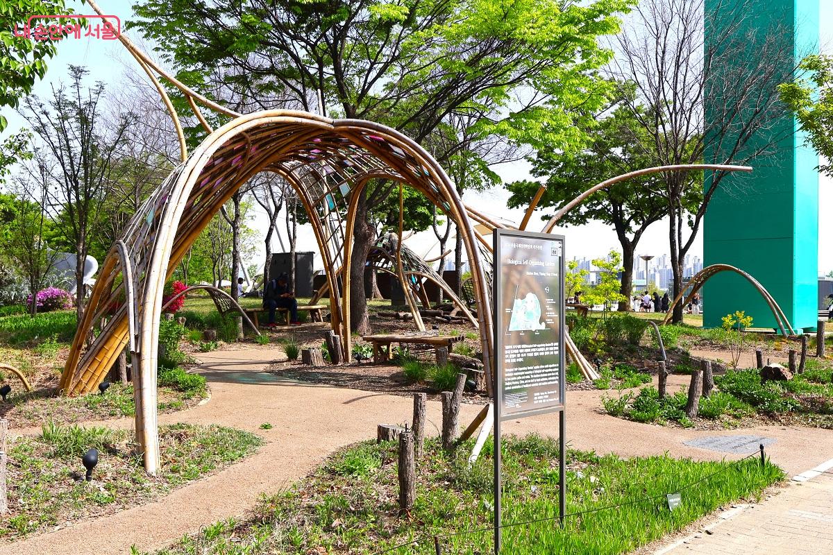 2년 전 열린 &lsquo;2024 서울정원박람회&rsquo;의 수변 감성 정원이 그대로 보존&middot;유지되고 있다. &copy;이봉덕
