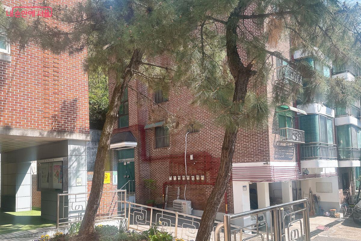 도서관 입구에 오래돼 보이는 소나무가 있다. &copy;김재형