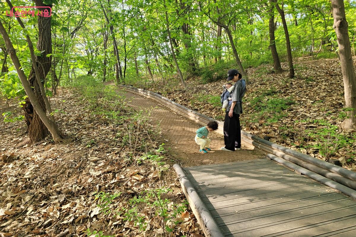 서울 불암산 숲길 가족 산책 아이 자연 체험 모습