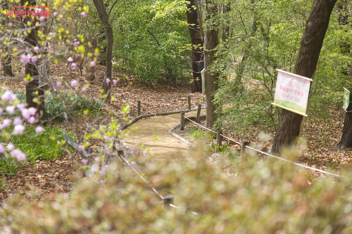 평소에는 주말에만 방문할 수 있었는데 평일까지 확대개방 되어 편리해졌다