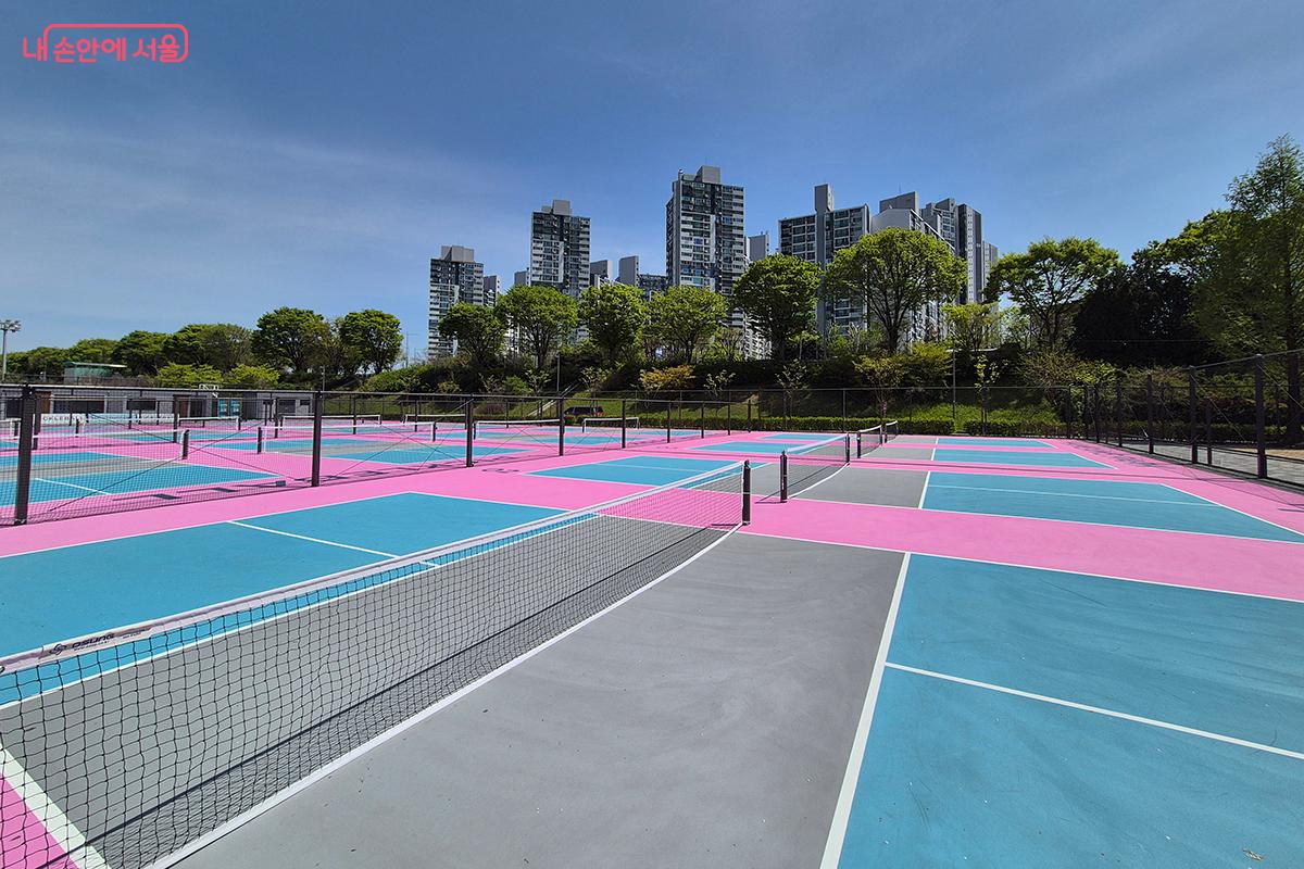 '광나루 피클볼장'은 전문적인 규격을 갖춘 피클볼 전용 구장이다. &copy;백승훈