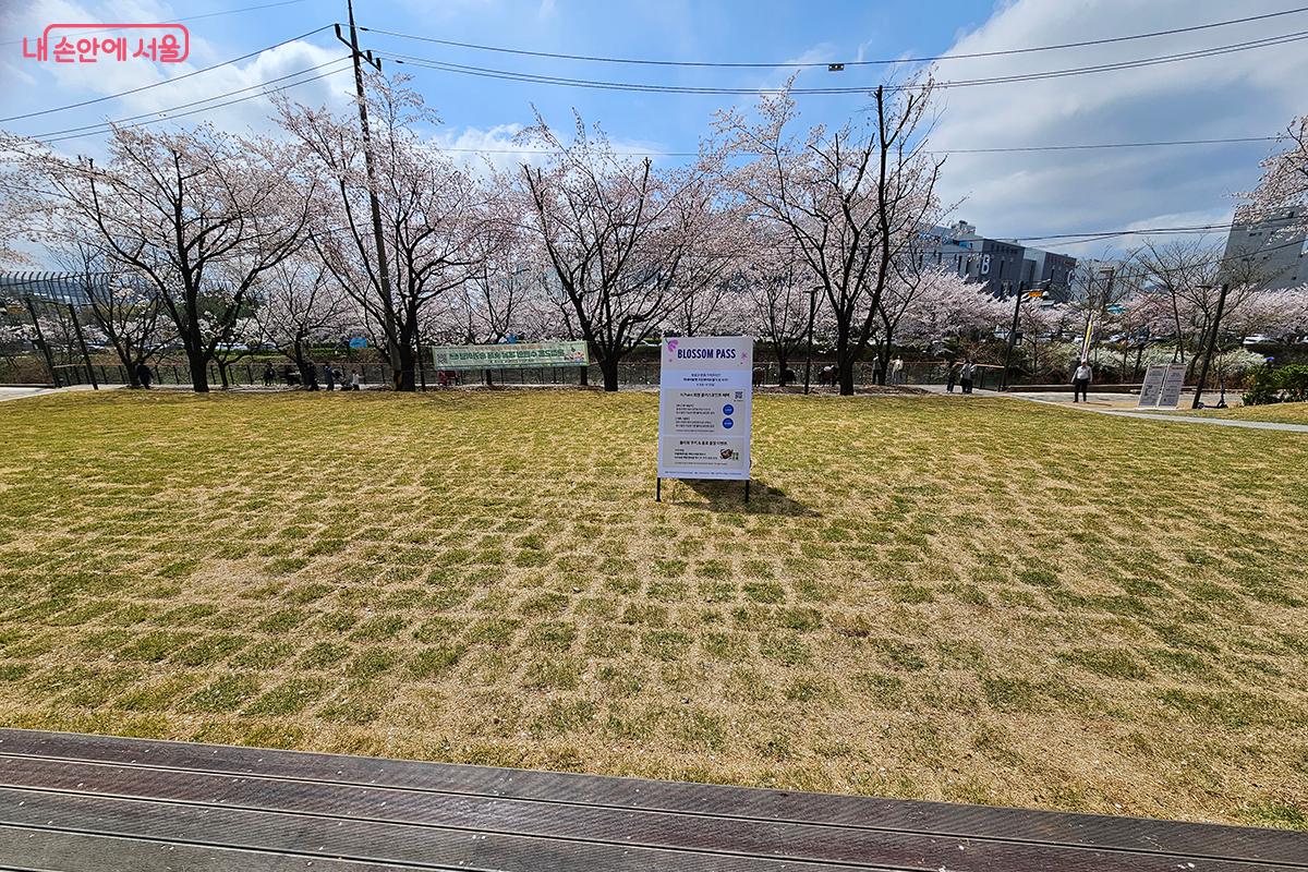 ‘서울물빛나루 15호 장지천 수변감성공원’ 입구에 조성된 잔디광장 ©이혜숙