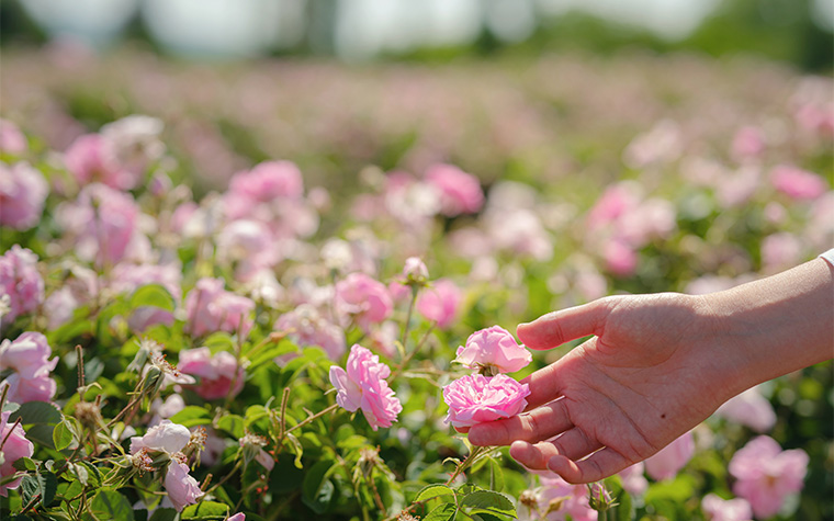 지친 마음을 조용히 받아주는 정원&hellip;'불면'의 고민을 잠재우다