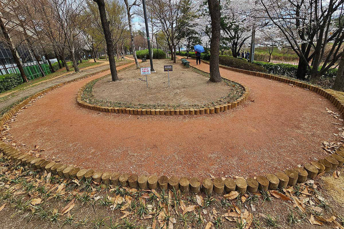 황톳길 걸으며 꽃 구경! '서울물빛나루 15호 장지천'에서 힐링해요