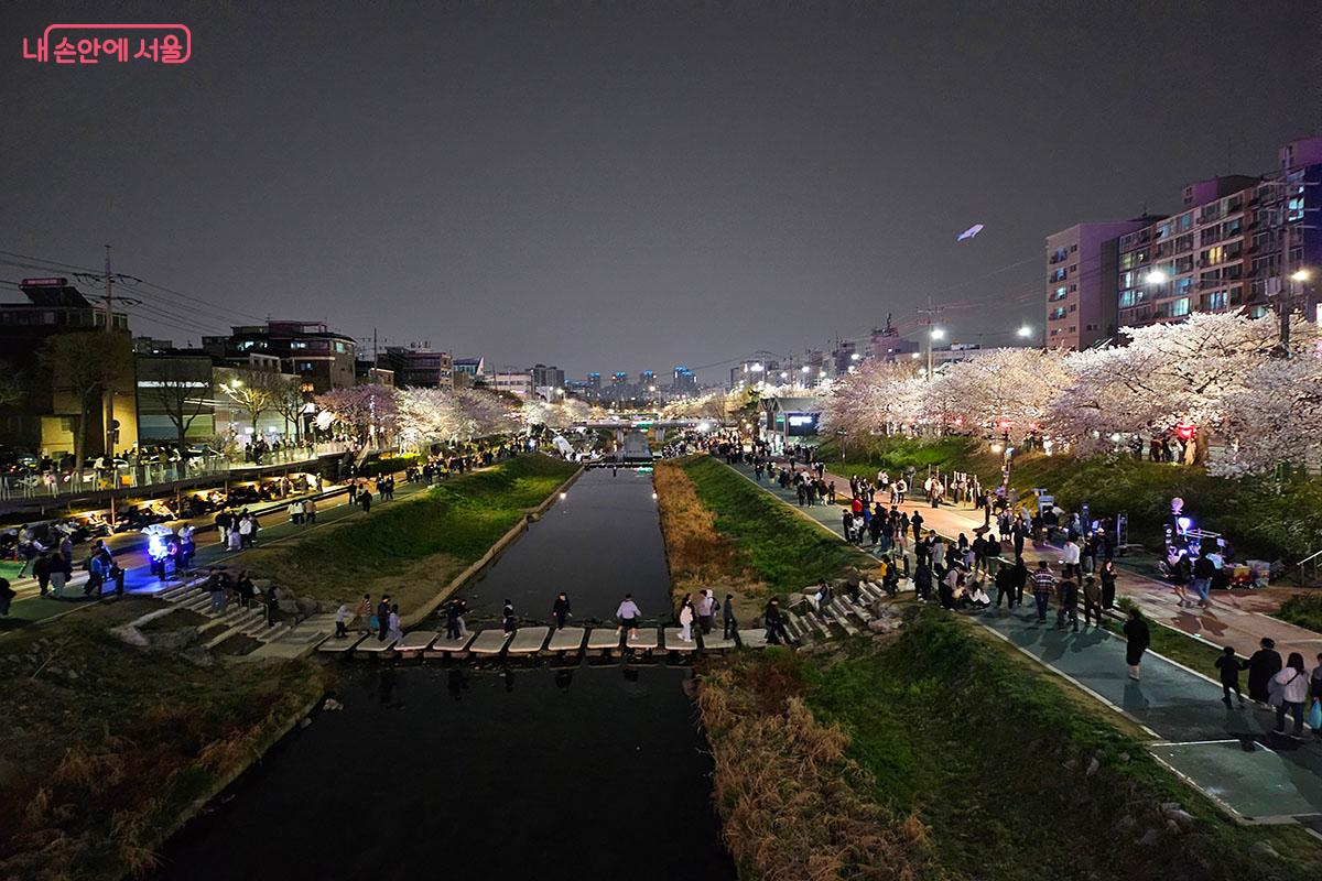 야경도 아름다운 불광천 벚꽃길.ⓒ이정민