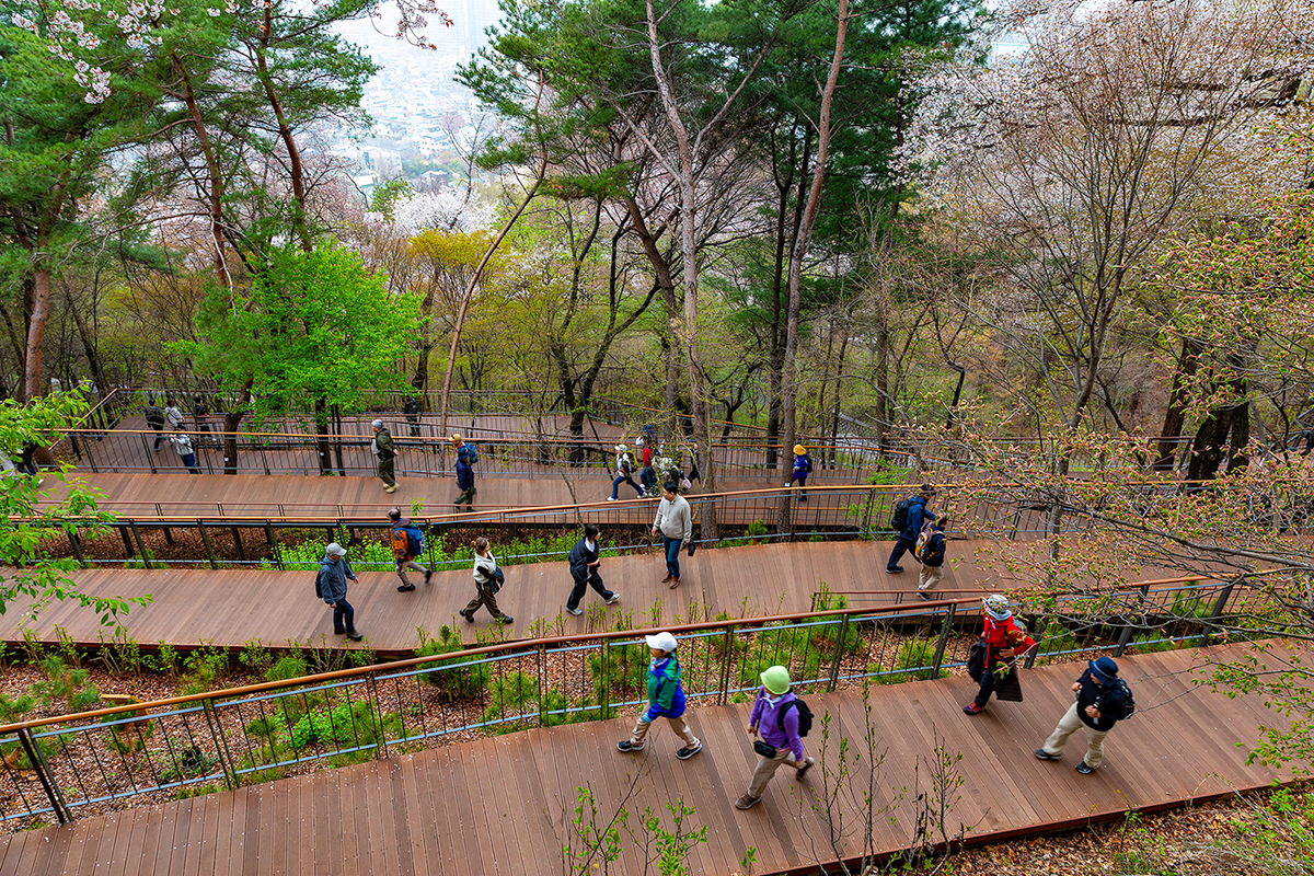 도심 한가운데 2.2km 무장애 산책길 추천! '남산 하늘숲길'