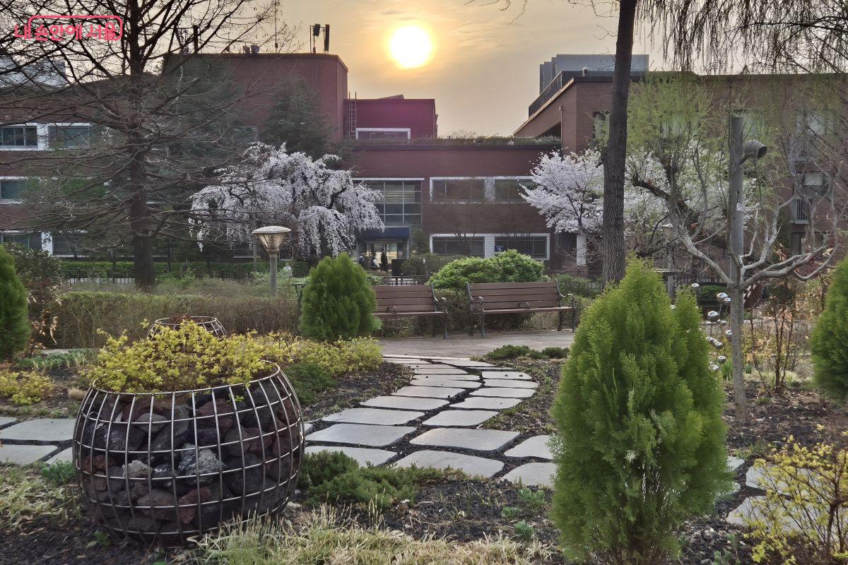 해가 지려고 하는 시간에 꽃들의 색이 달라보인다
