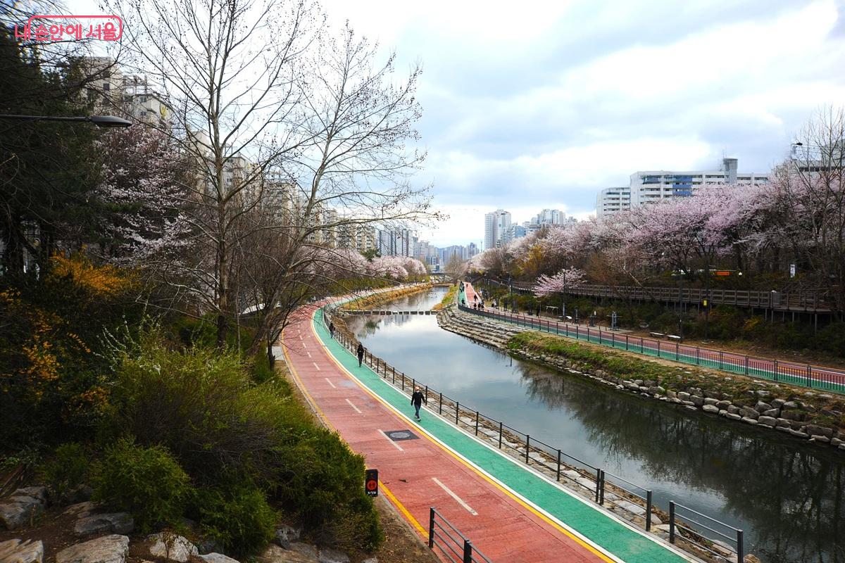 수변전망대에서 본 우이천 하류 경관 &copy;조수봉