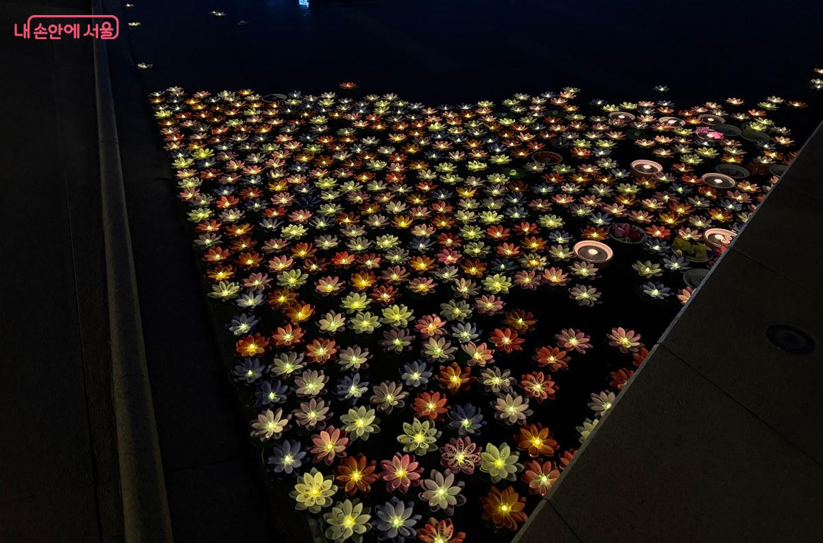 사람들의 소원 메시지를 담은 꽃들이 모여 '촛불 정원'이 장관을 이뤘다. ⓒ박소예