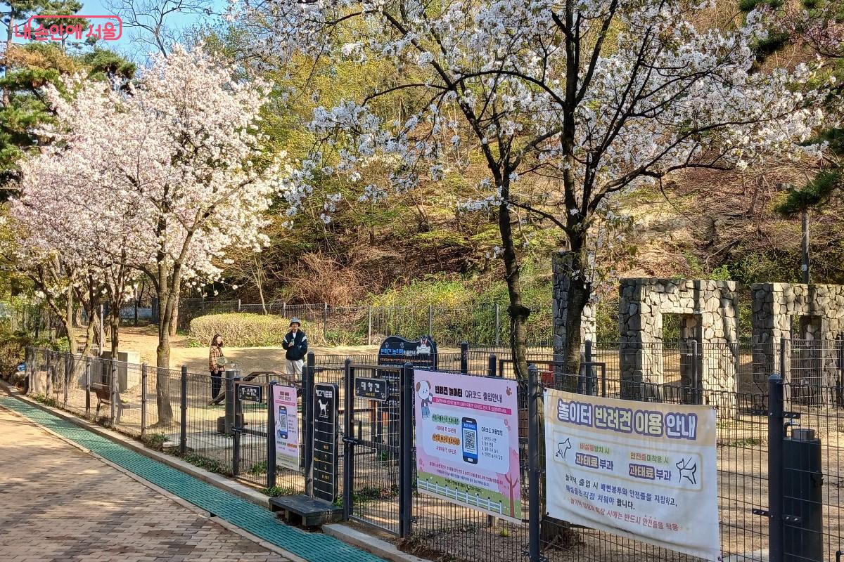 '천연황토 행복쉼터' 산책로와 연계한 반려견 놀이터 &copy;임영근 